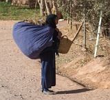 5D3 2094  Taken at Latitude/Longitude:31.251457/-6.084729. 0.23 km East Iqouassene Souss-Massa-Dra Morocco   (Map link) : 0.23  Km to Iqouassene  in Souss-Massa-Dra Morocco, Iqouassene, Morocco, Souss-Massa-Dra, geo:lat=31.251457, geo:lon=-6.084729, geotagged, 0, 084729, 23  Km to Iqouassene  in Souss-Massa-Dra Morocco, 251457, geo:lat=31, geo:lon=-6, geotagged, Iqouassene, Morocco, Souss-Massa-Dra, 0, 084729, 23  Km to Iqouassene  in Souss-Massa-Dra Morocco, 251457, geo:lat=31, geo:lon=-6, geotagged, Iqouassene, Morocco, Souss-Massa-Dra
